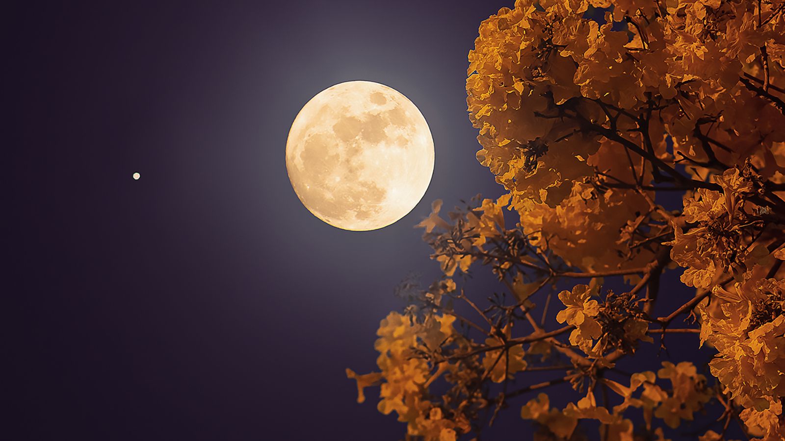 Situational Awareness Tips for Trick-or-Treat Night
